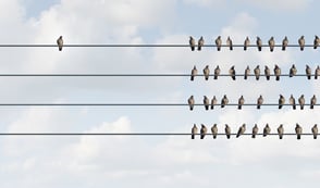Pigeons are sat together across four telephone wires. One pigeon is sat alone looking at the others.