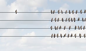 Pigeons are sat together across four telephone wires. One pigeon is sat alone looking at the others.