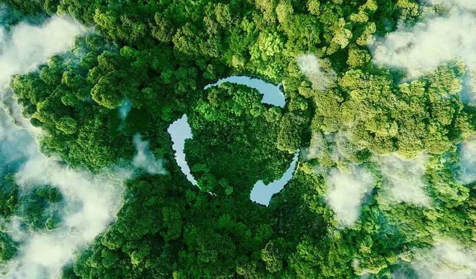 An aerial view of a forest is shown, with bodies of water forming arrows pointing round in a circle