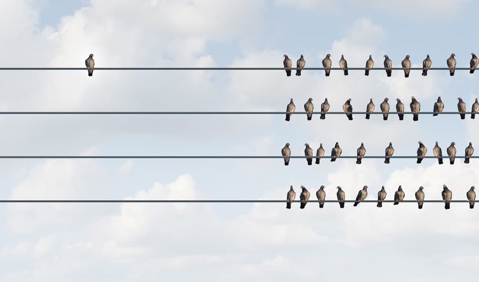 Bird sitting alone on electricity wires next to a flock of other birds