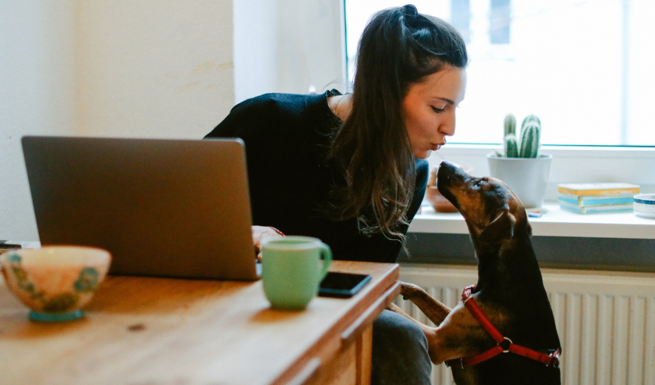 Employee working from home with a pet nearby, highlighting health and safety guidelines when working at home.