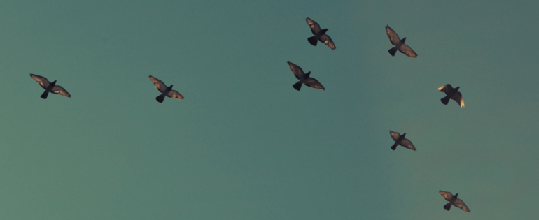 employees_that_flock_together_stay_together_1