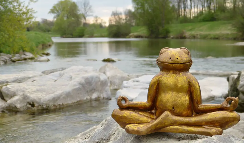 A golden statue of a meditating frog is sitting on a rock by a river. In the background you can see the river flowing in between the green banks.