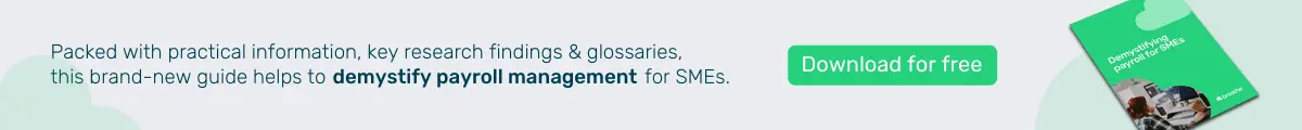 Demystifying payroll for SMEs website banner