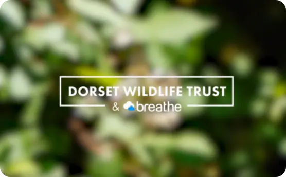 Dorset wildlife trust card