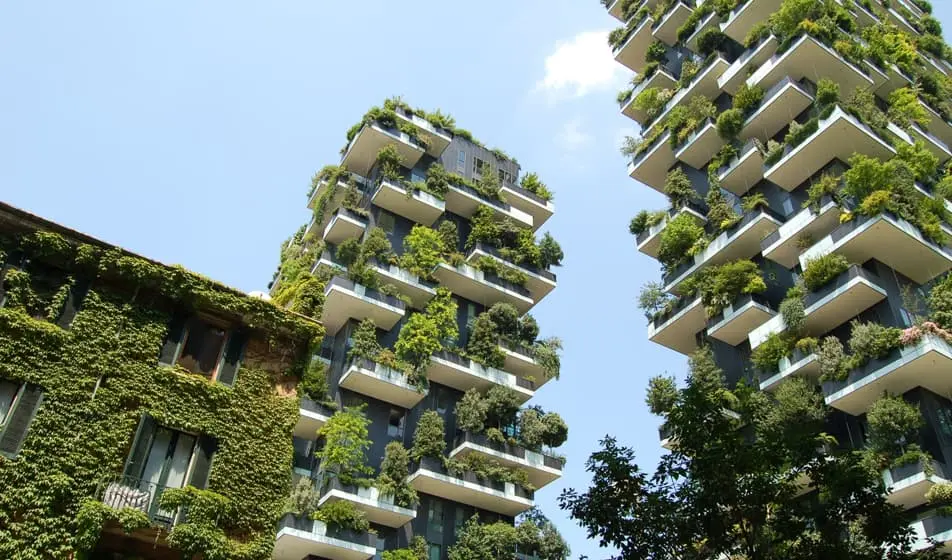 The camera is looking up at flats towering above it. The flats all have balconies which has been taken over my greenery.
