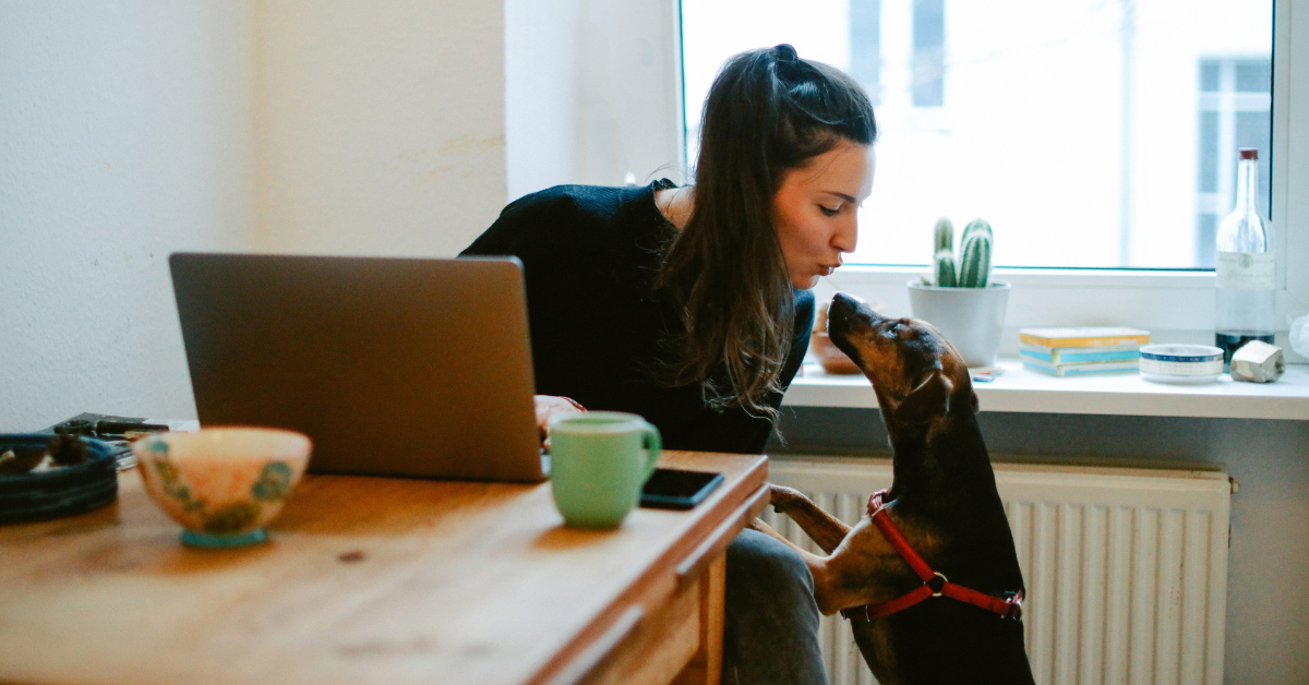 Employee working from home with a pet nearby, highlighting health and safety guidelines when working at home.
