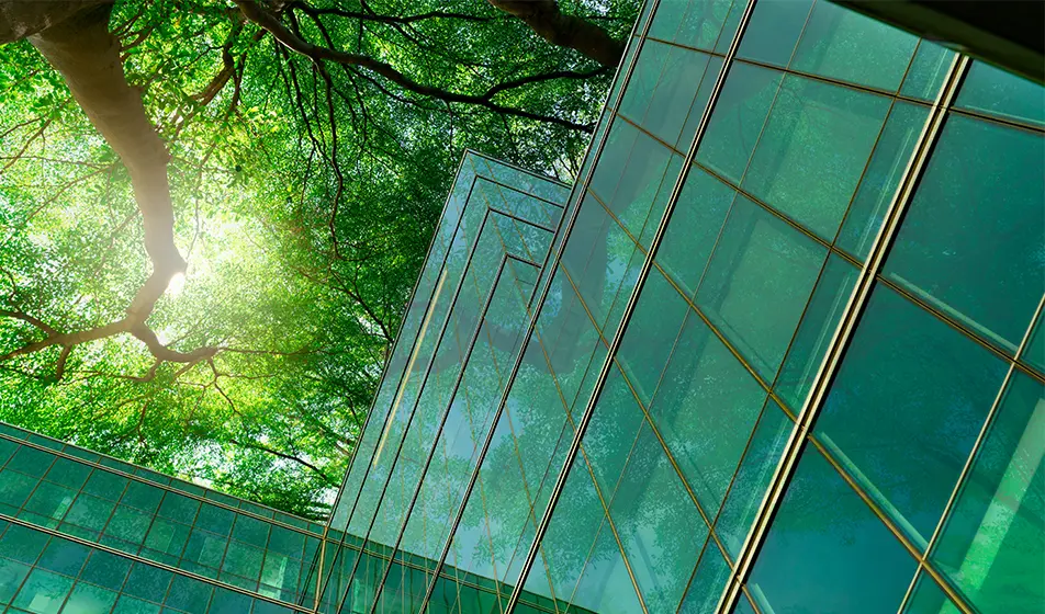 A camera facing upwards shows a glass building reflected green from the tree above and around it. The sun shines through the tree.