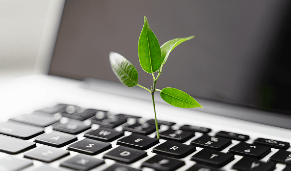 A small plant is growing out from a laptop keyboard in between the letters "E" and "R".